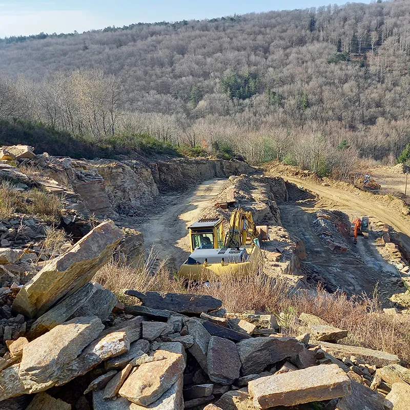 CARRIERE DES MARTYS GNEISS