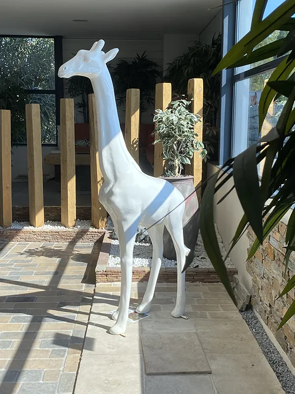 GIRAFES AGENCE AVIGNON 2