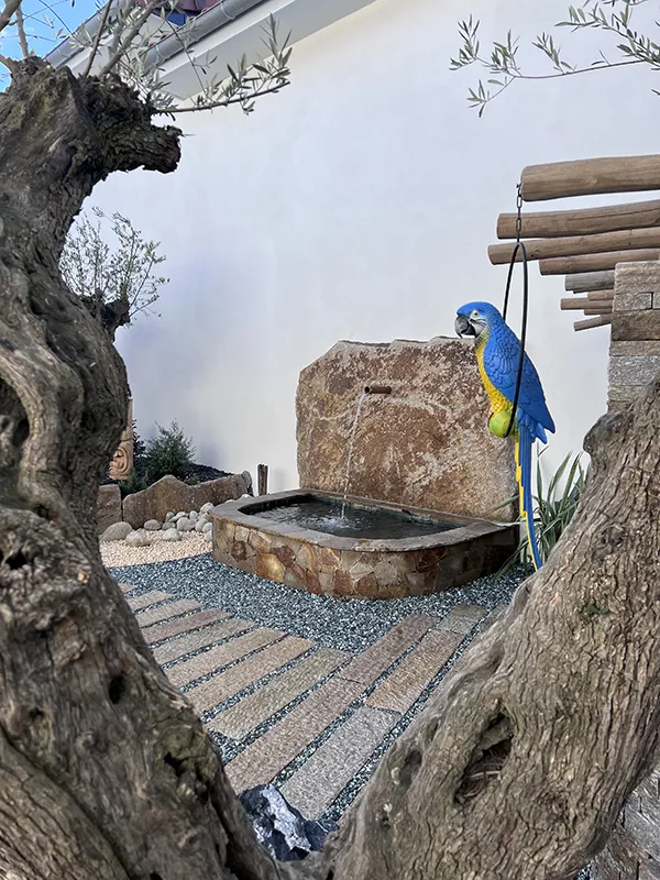 PATIO ALBI FONTAINE GRANDE DALLE ET OPUS GNEISS DU CAROUX EN PLACAGE 2