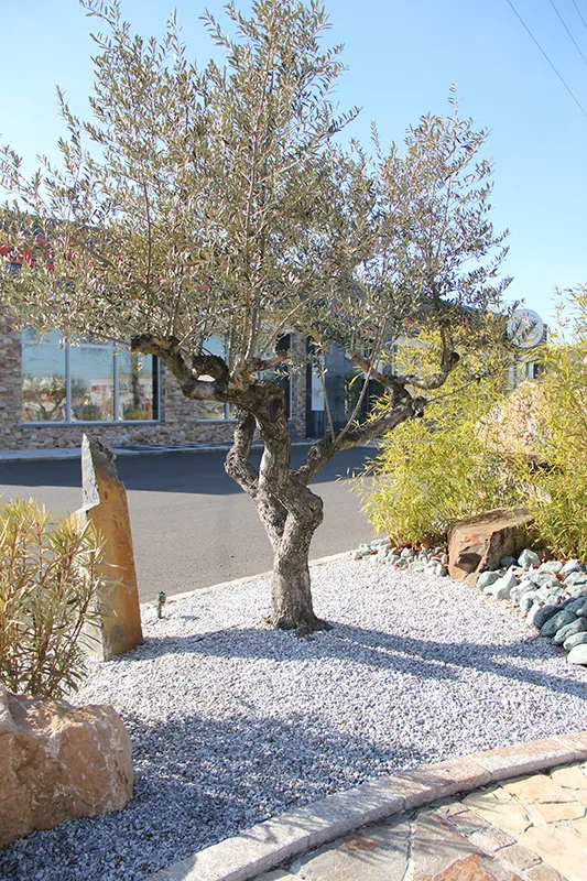 gravillons bleu turquin