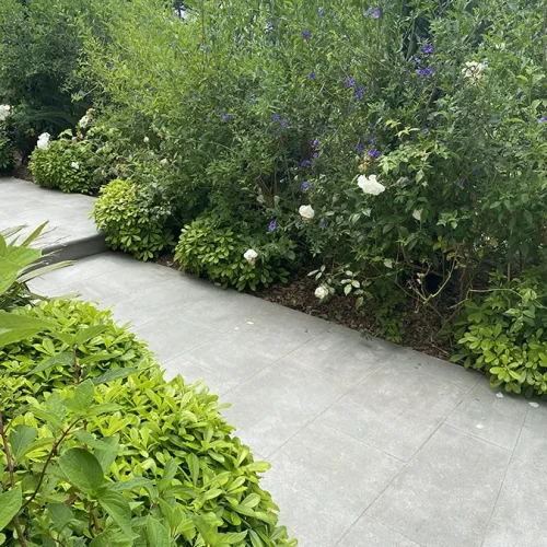 Calcaire du Causse Grenaille 6