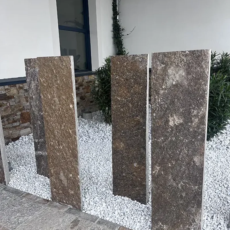 PLAQUES GNEISS UNE FACE BRUTE ALBI 1