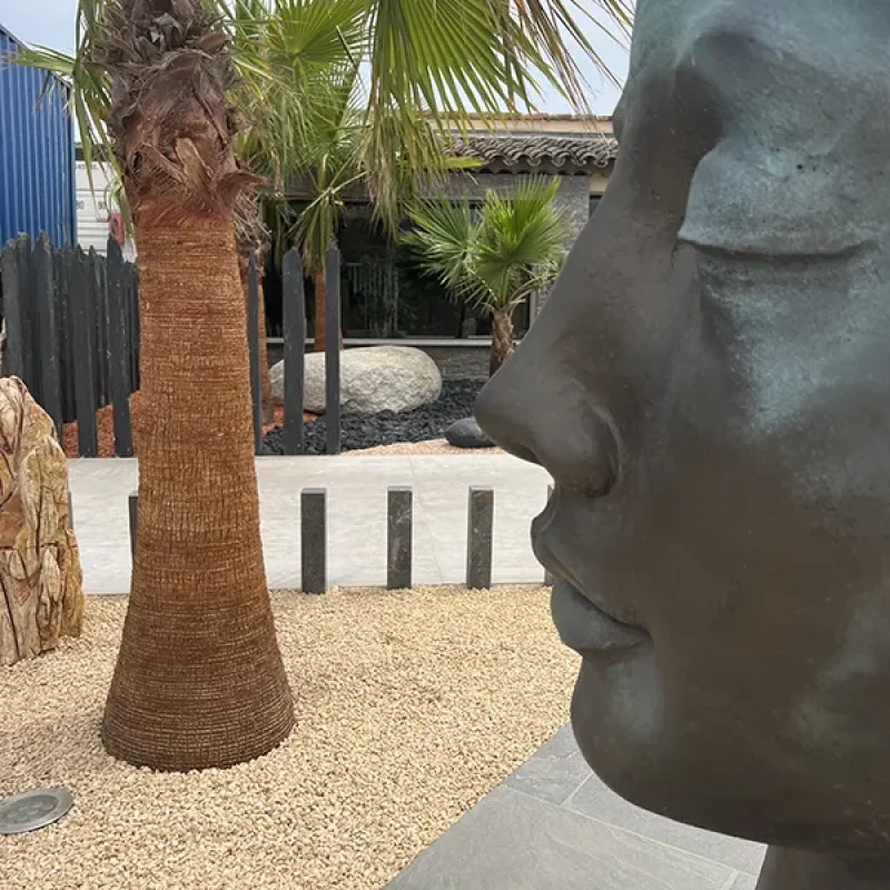 VISAGE FEMME BRONZE Haut 115 cm 180kg 6