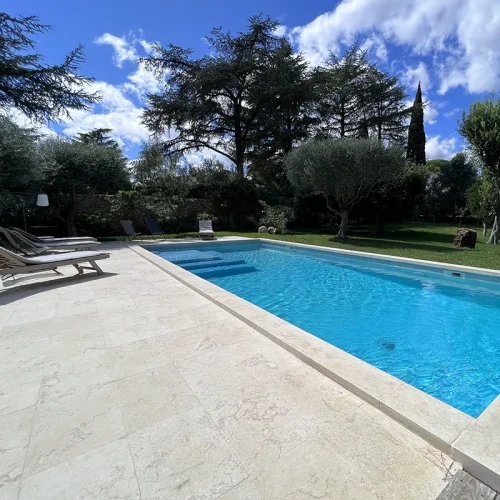 dallage pierre du nil vieillie