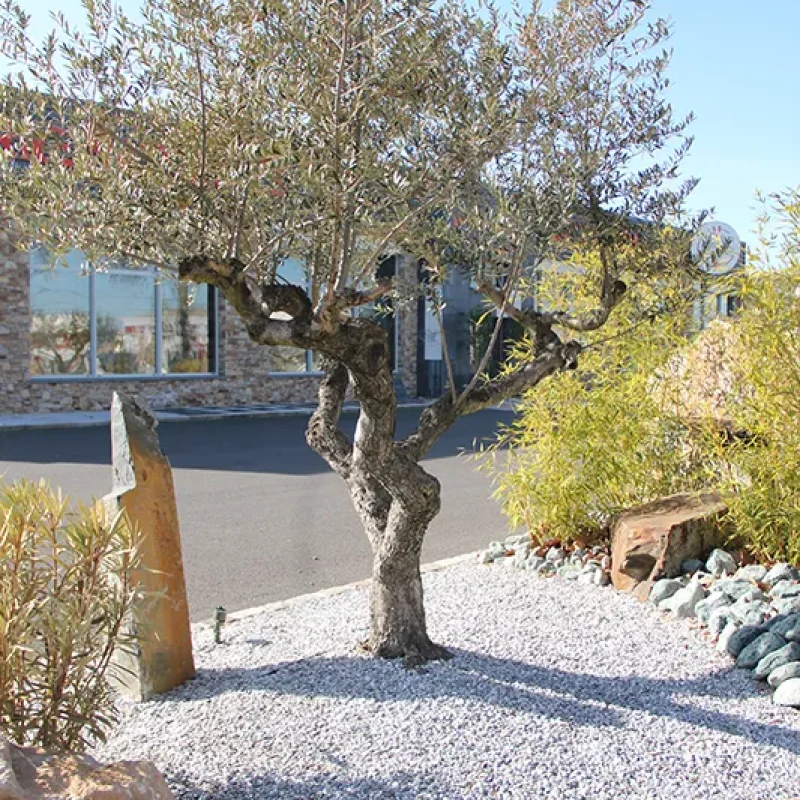 gravillons bleu turquin